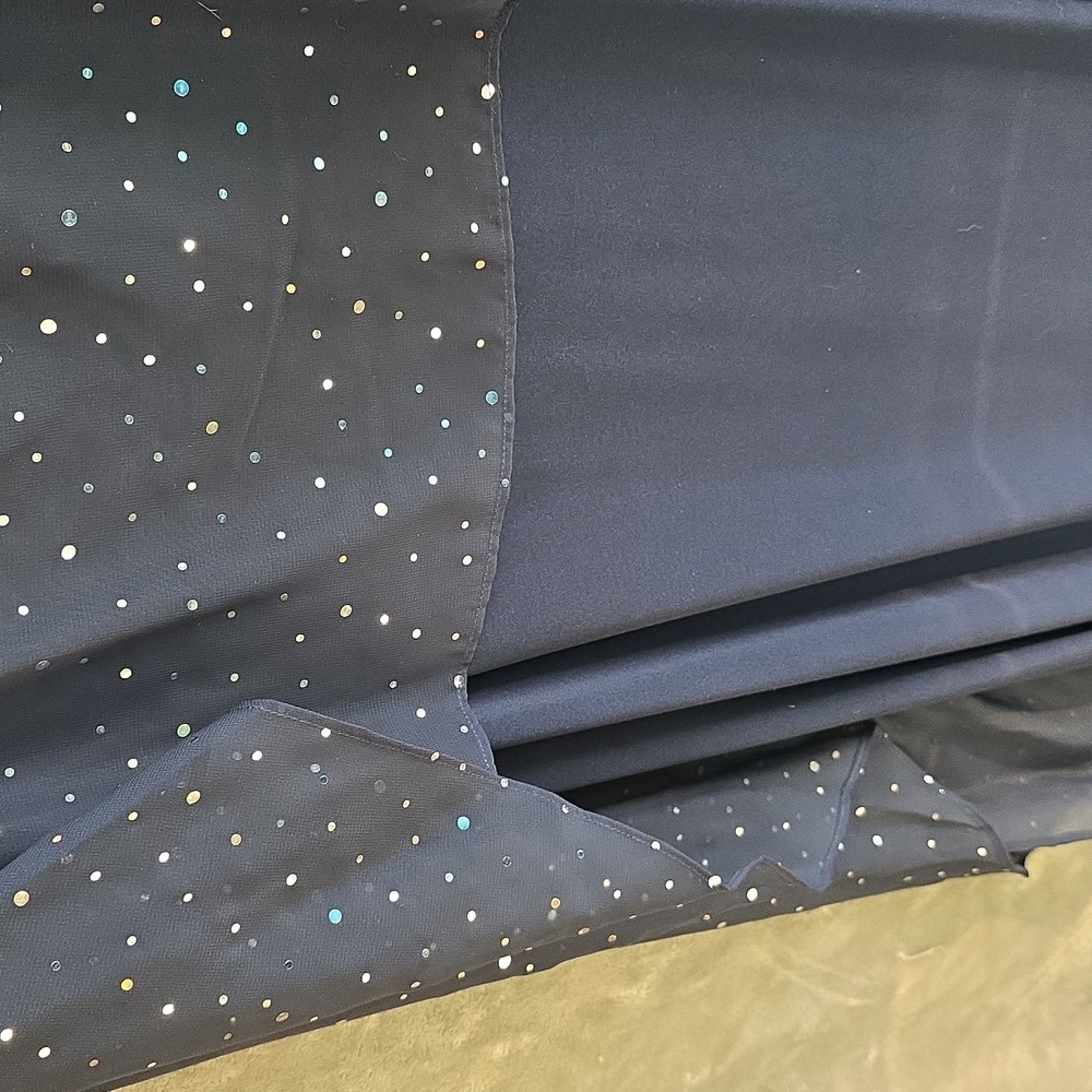 Glamour Navy Dress with Silver Accents - Picture 13 of 13